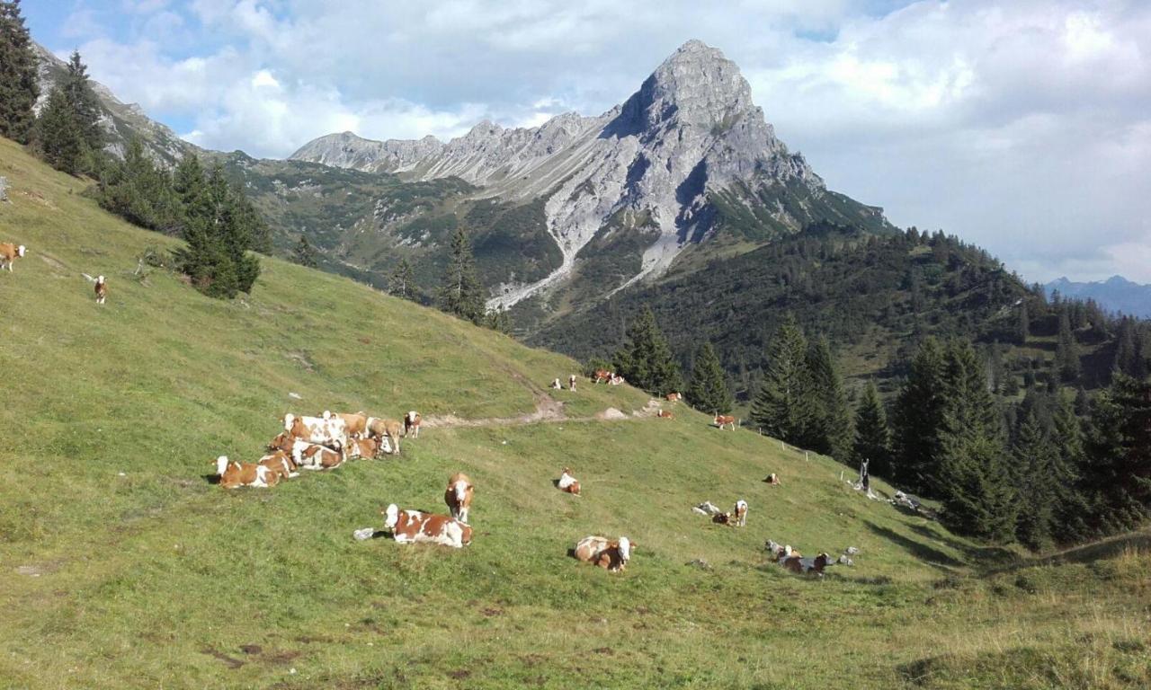 Burtscherhof In Braz Ausserbraz Экстерьер фото